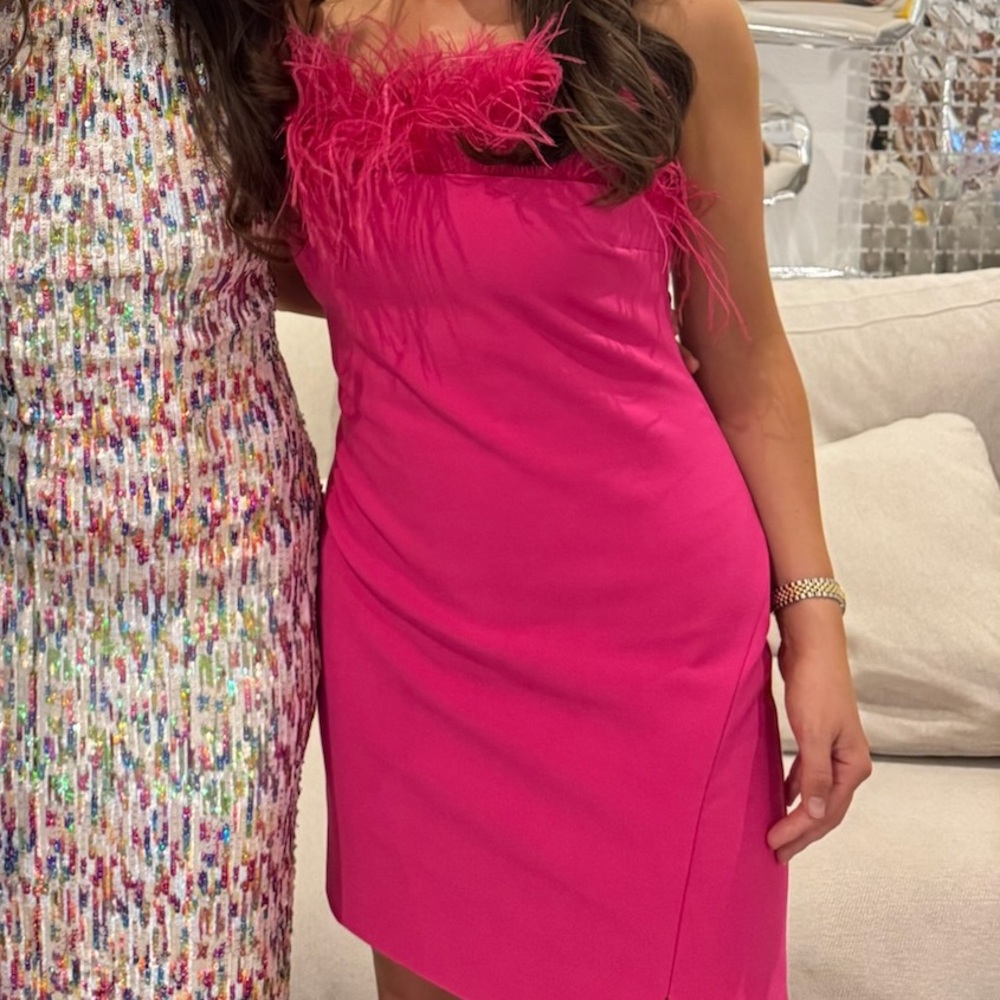 Likely pink ostrich trim dress